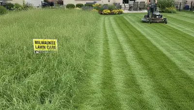 Before and after professional lawn mowing showing manicured grass transformation in Milwaukee, WI